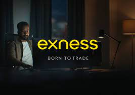 Exness vs Oanda: A Comprehensive Contrast for Investors
