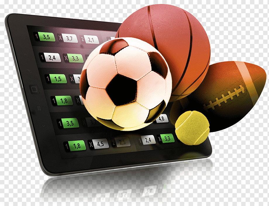 No Document Casinos That Accept Bitcoin 44 No Document Casinos That Accept Bitcoin 44